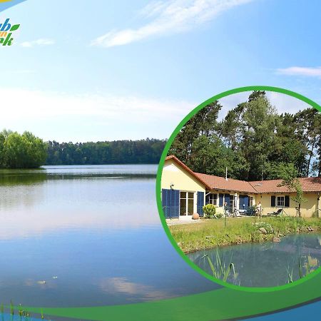 Familien-Suite-Im-Wald-Am-See Bork Экстерьер фото